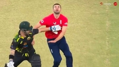 Matthew Wade(left) and Mark Wood (file photo) Matthew Wade(left) and Mark Wood (file photo)