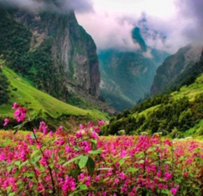 Valley of Flowers, Uttarakhand: This picturesque location in Uttarakhand attracts several tourists throughout the year, especially during the blossoming season. In 2005, it was declared a UNESCO World Heritage site. The best time to visit this place is during the rainy season, especially between July to early September.&nbsp; (Instagram/@thetripperstours)