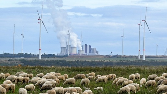 A photo taken on October 16, 2022 shows a herd of sheep near the coal-fired power plant Neurath in Luetzerath, western Germany. (AFP) A photo taken on October 16, 2022 shows a herd of sheep near the coal-fired power plant Neurath in Luetzerath, western Germany. (AFP)