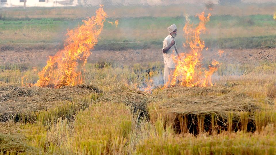 Stubble fires this past month have been lower than 2021, possibly because of spells of rain in early October. (HT Archive) Stubble fires this past month have been lower than 2021, possibly because of spells of rain in early October. (HT Archive)