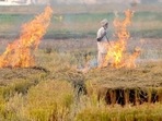 Stubble fires this past month have been lower than 2021, possibly because of spells of rain in early October.&nbsp;
