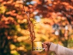 Health experts share tips on how to beat the October heat this year(Taryn Elliott) Health experts share tips on how to beat the October heat this year(Taryn Elliott)