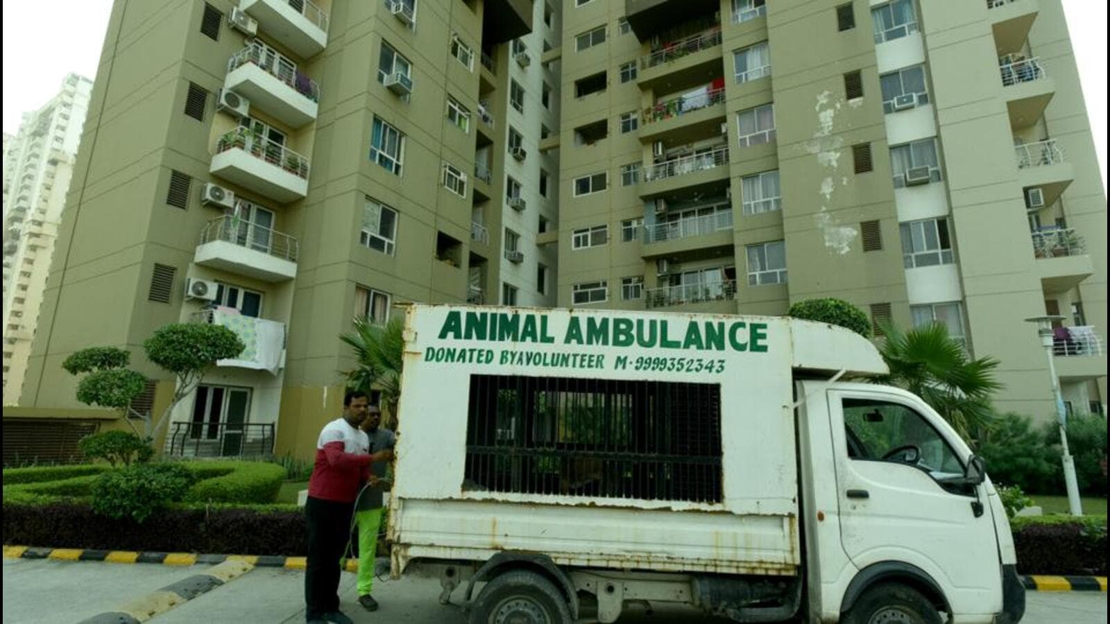 Don’t know who to blame: Father of infant mauled by stray dog in Noida