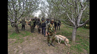 Indian Army soldiers conduct a search and cordon operation in Harmain, Shopian, after two non-local labourers from Uttar Pradesh were killed in a grenade attack at their residential accommodation on Tuesday. (Waseem Andrabi/HT) Indian Army soldiers conduct a search and cordon operation in Harmain, Shopian, after two non-local labourers from Uttar Pradesh were killed in a grenade attack at their residential accommodation on Tuesday. (Waseem Andrabi/HT)