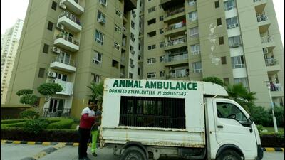Noida, India- October 18, 2022: A Noida Authority van was sent to Lotus Boulevard Society in Sector 100 to catch stray dogs in the area. As many as eight dogs were captured by the officials, in Noida, India, on Tuesday, October 18, 2022. (Photo by Sunil Ghosh / Hindustan Times) (Hindustan Times) Noida, India- October 18, 2022: A Noida Authority van was sent to Lotus Boulevard Society in Sector 100 to catch stray dogs in the area. As many as eight dogs were captured by the officials, in Noida, India, on Tuesday, October 18, 2022. (Photo by Sunil Ghosh / Hindustan Times) (Hindustan Times)