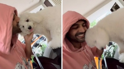 Kartik Aaryan kisses pup Katori Aaryan. Kartik Aaryan kisses pup Katori Aaryan. 