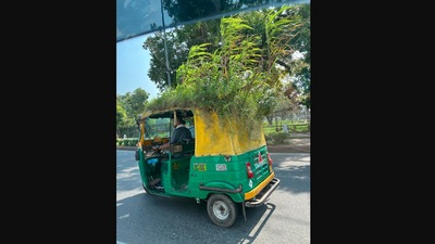 The image, taken from the Twitter post, shows a mini garden atop an auto in Delhi. (Twitter/@supriyasahuias)
