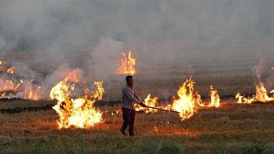 A farmer burns stubble after harvesting soyabean crop in his field on the outskirts of Bhopal. (AFP)