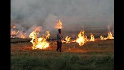 Incidents of farm fires continue to rise in Haryana with each passing day as the state has reported 134 incidents of stubble burning on Tuesday, taking the total number of farm fires to 464 during the ongoing harvesting season. (AFP File Photo) Incidents of farm fires continue to rise in Haryana with each passing day as the state has reported 134 incidents of stubble burning on Tuesday, taking the total number of farm fires to 464 during the ongoing harvesting season. (AFP File Photo)