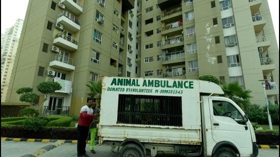 Noida, India- October 18, 2022: A Noida Authority van was sent to Lotus Boulevard Society in Sector 100 to catch stray dogs in the area. As many as eight dogs were captured by the officials, in Noida, India, on Tuesday, October 18, 2022. (Photo by Sunil Ghosh / Hindustan Times) (Hindustan Times)