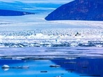 (FILES) The analysis found pronounced differences between viruses and hosts in the lakebed, (FILES) The analysis found pronounced differences between viruses and hosts in the lakebed,