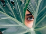 Can nutraceuticals, supplements improve eye health, eye sight and night vision?(Photo by Drew Dizzy Graham on Unsplash) Can nutraceuticals, supplements improve eye health, eye sight and night vision?(Photo by Drew Dizzy Graham on Unsplash)