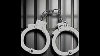2 officials of Haryana electricity dept among 3 held for taking bribe