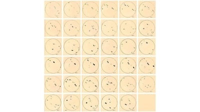 At first sight: For centuries, sunspots were thought to be Mercury passing across the Sun. By the early 17th century, with the invention of the telescope, astronomers could get a clearer look. In 1610, Galileo Galilei (who first used the telescope to observe space) in Italy and his British contemporary Thomas Harriot identified these as spots on the Sun. Seen here are 35 drawings of sunspots created by Galileo between June 2 and July 8, 1612. (Image Courtesy: The Galileo Project / Rice University) At first sight: For centuries, sunspots were thought to be Mercury passing across the Sun. By the early 17th century, with the invention of the telescope, astronomers could get a clearer look. In 1610, Galileo Galilei (who first used the telescope to observe space) in Italy and his British contemporary Thomas Harriot identified these as spots on the Sun. Seen here are 35 drawings of sunspots created by Galileo between June 2 and July 8, 1612. (Image Courtesy: The Galileo Project / Rice University)