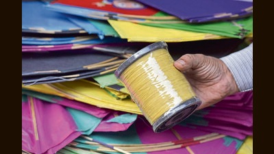 The direction came following an appeal from People for the Ethical Treatment of Animals (PETA) India to address bird and human deaths caused by kite string coated with glass and other synthetic material like nylon (HT File) The direction came following an appeal from People for the Ethical Treatment of Animals (PETA) India to address bird and human deaths caused by kite string coated with glass and other synthetic material like nylon (HT File)