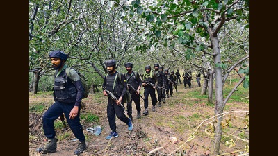 A joint anti-terrorist operation was launched in the orchard at midnight after the terrorist agreed to show the exact place of hideout of his associates, the spokesperson said. A joint anti-terrorist operation was launched in the orchard at midnight after the terrorist agreed to show the exact place of hideout of his associates, the spokesperson said.