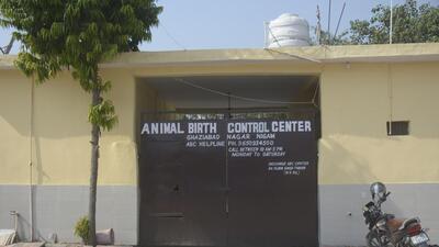 An Animal Birth Control Centre in Nandi Park where stray dogs are sterilised, in Ghaziabad. (Sakib Ali/HT Photo) An Animal Birth Control Centre in Nandi Park where stray dogs are sterilised, in Ghaziabad. (Sakib Ali/HT Photo)