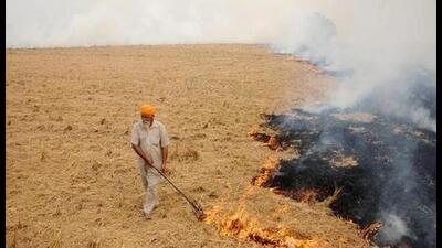 Paddy straw burning in adjoining states, including Punjab, Haryana, is a major reason behind the alarming spike in air pollution levels in the national capital in October and November. Farmers set their fields on fire to quickly clear off the crop residue before cultivating wheat and vegetables. Paddy straw burning in adjoining states, including Punjab, Haryana, is a major reason behind the alarming spike in air pollution levels in the national capital in October and November. Farmers set their fields on fire to quickly clear off the crop residue before cultivating wheat and vegetables.