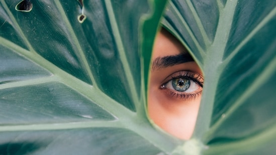 Can nutraceuticals, supplements improve eye health, eye sight and night vision?(Photo by Drew Dizzy Graham on Unsplash)