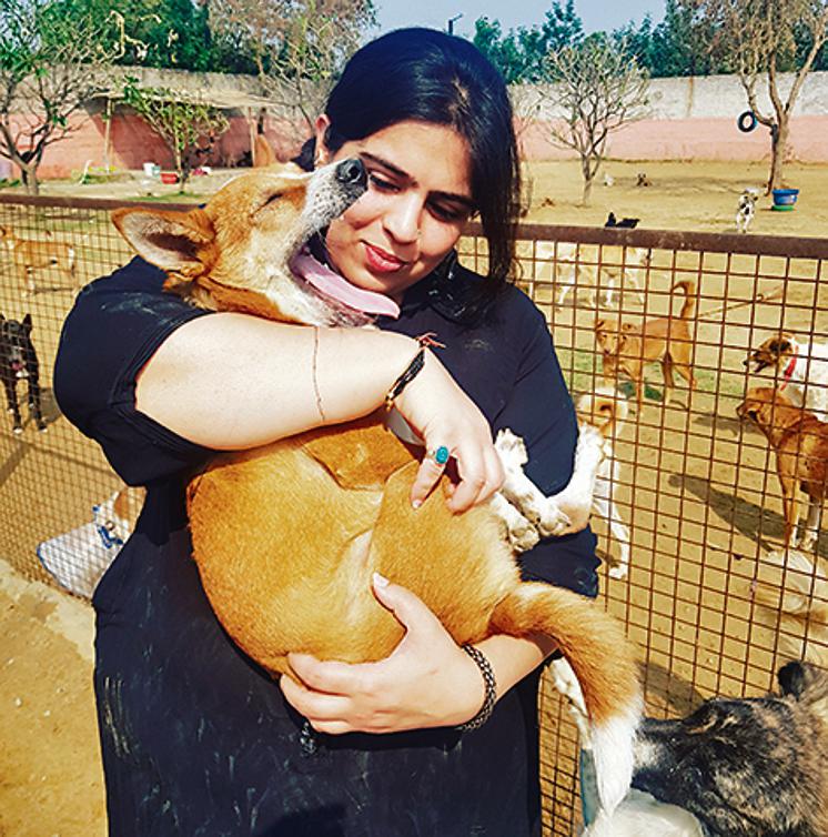 Divya Puri, co-founder of Karan Puri Foundation, says she has rescued six Pitbulls and two Argentino Mastiffs in the last one month. Divya Puri, co-founder of Karan Puri Foundation, says she has rescued six Pitbulls and two Argentino Mastiffs in the last one month.