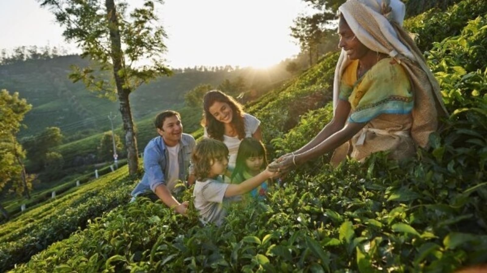 Take A Special Tour Of Tea Estate In Munnar With Club Mahindra