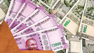 HAFED earns record  ₹ 207 crore profit