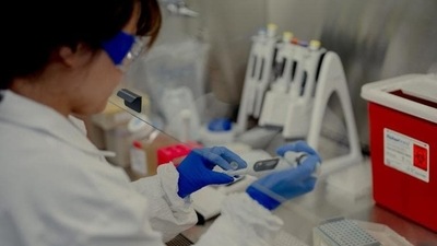 A scientist works at the Pfizer vaccine research and development facility in Pearl River, New York, US. (Bloomberg representational) A scientist works at the Pfizer vaccine research and development facility in Pearl River, New York, US. (Bloomberg representational)