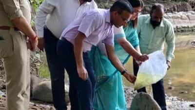 Mosquito-killer fish Gambusia was introduced in the Butterfly Park pond on Thursday to maintain the ecological balance in the waterbody and control the insect’s population. (HT Photo)