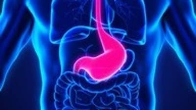 Environmental chemicals that influence gastrointestinal inflammation: Research (Twitter/Gastro_meet)