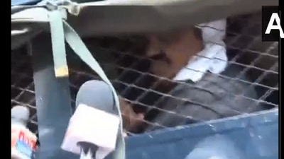 A video tweeted by news agency ANI showed the gangster, who was being brought to the CBI court in Lucknow, telling reporters "Yogi Adityanath is a brave, honest chief minister". (ANI videograb)
