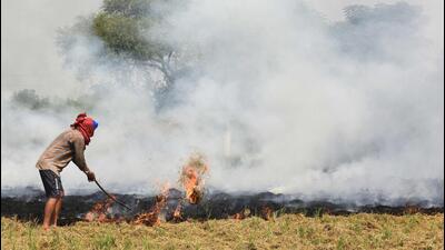 A farmer burns paddy stubble on the outskirts of Amritsar in Punjab earlier this month. (AFP) A farmer burns paddy stubble on the outskirts of Amritsar in Punjab earlier this month. (AFP)