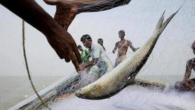 The nearest kin of the fishermen will get an amount of up to  ₹5 lakh as insurance benefit. (File image)