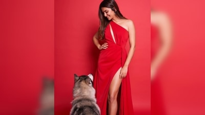 Kriti Kharbanda's dress features a chest cut-out and a slit that goes up to her thighs. She also gives fans a sneak-peek of her pet husky through her photo. (Instagram/@kritikharbanda) Kriti Kharbanda's dress features a chest cut-out and a slit that goes up to her thighs. She also gives fans a sneak-peek of her pet husky through her photo. (Instagram/@kritikharbanda)