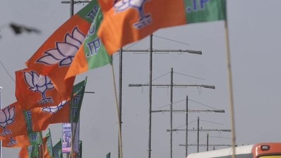 File photo: BJP flags.