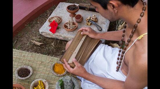 Ancient treatises like the Gargi-samhita were often written down on palm leaf (Shutterstock) Ancient treatises like the Gargi-samhita were often written down on palm leaf (Shutterstock)