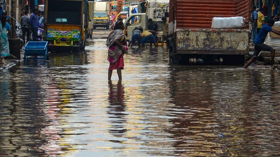 According to IMD, light rainfall is likely to hit Bengaluru during the next five days. The Maximum temperature ranges from 27-29 degrees Celcius and the minimum of 15-17 degrees Celcius.(PTI)