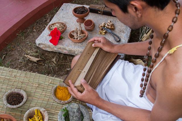 Ancient treatises like the Gargi-samhita were often written down on palm leaf (Shutterstock)