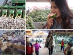 Screenshots of an October 2021 video on the ‘Annie Guli’ YouTube channel.
