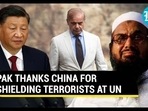 PAK THANKS CHINA FOR SHIELDING TERRORISTS AT UN