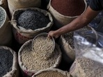 Pulses inflation rose marginally in September at 3% due to lower duties and higher imports in the previous financial year. (Bloomberg file photo. Representative image) Pulses inflation rose marginally in September at 3% due to lower duties and higher imports in the previous financial year. (Bloomberg file photo. Representative image)