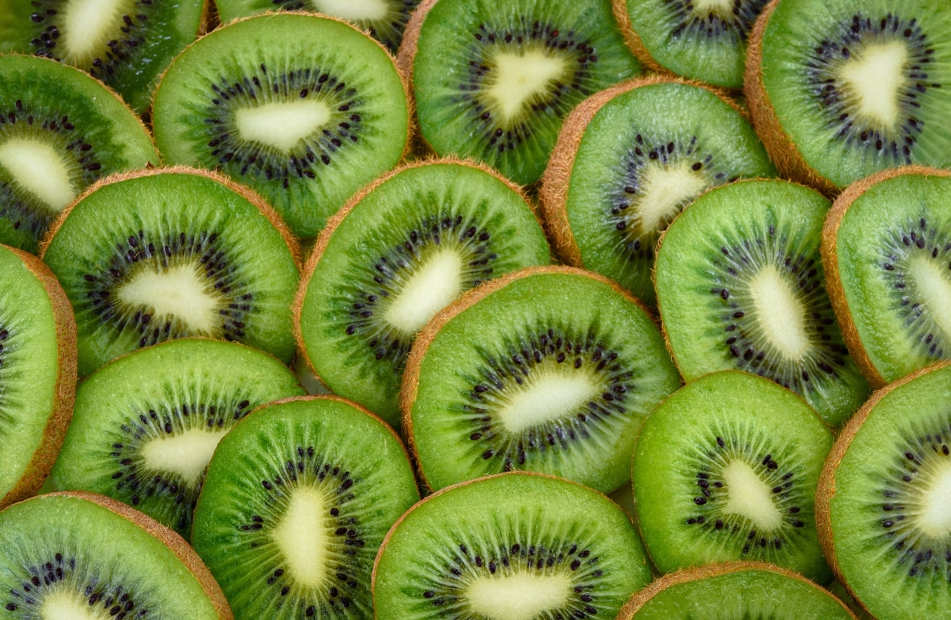 Importance of kiwi in this dengue season