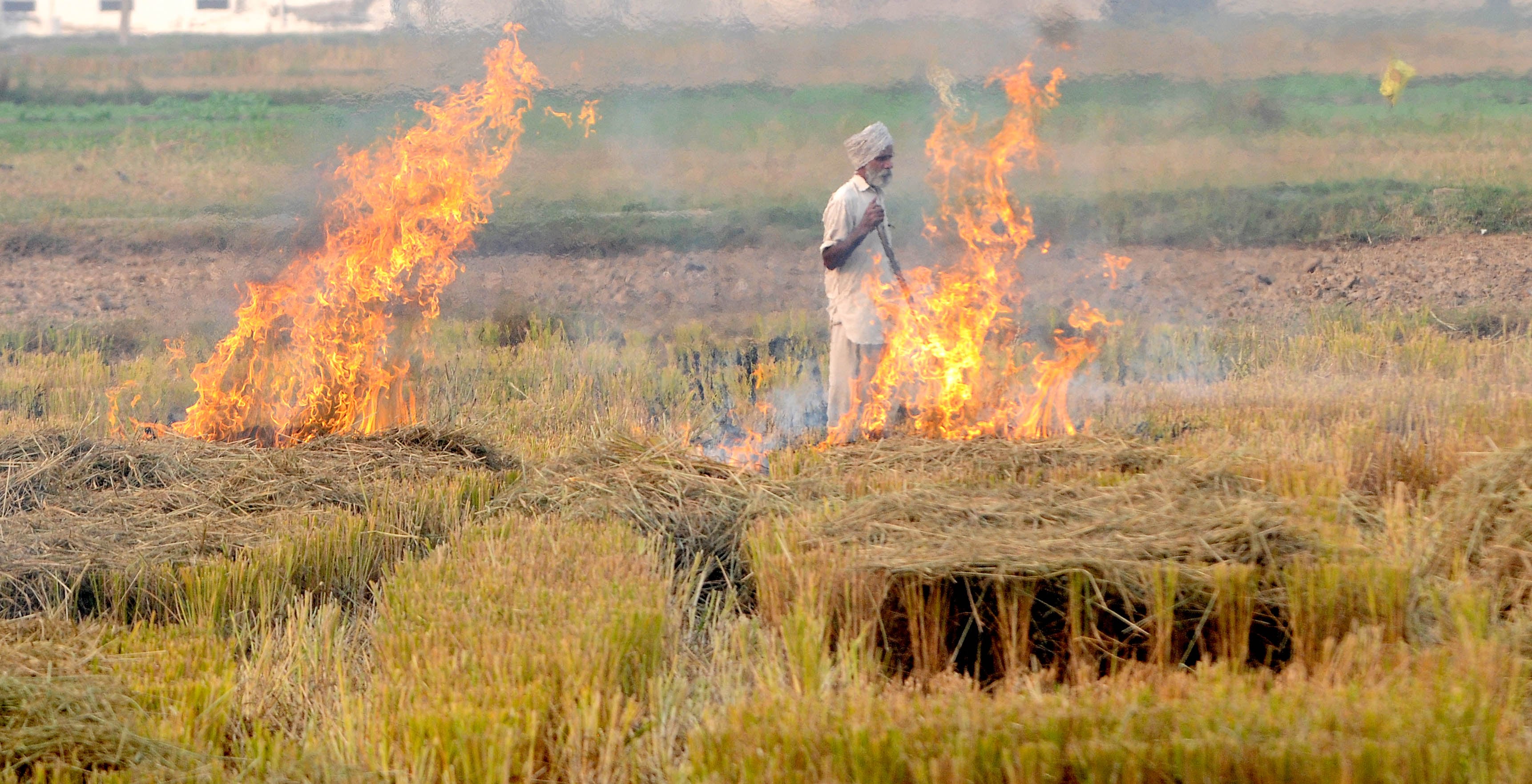 Delhi’s poor AQI in winter months is not due to stubble burning in Punjab but due to accumulation of its own pollutants, a study by Punjab Agricultural University (PAU) has found. (File photo. Representative image) Delhi’s poor AQI in winter months is not due to stubble burning in Punjab but due to accumulation of its own pollutants, a study by Punjab Agricultural University (PAU) has found. (File photo. Representative image)