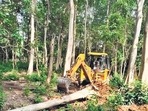The Pakhro Tiger Safari project will not be allowed to proceed, the principal bench of National Green Tribunal has ordered. (HT Photo) The Pakhro Tiger Safari project will not be allowed to proceed, the principal bench of National Green Tribunal has ordered. (HT Photo)