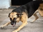 Saloni died during treatment due to excessive bleeding on Friday night.(Photo for representational purpose only)