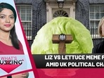 LIZ VS LETTUCE MEME FEST AMID UK POLITICAL CHAOS LIZ VS LETTUCE MEME FEST AMID UK POLITICAL CHAOS