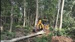Over 6,000 trees were felled for the proposed Pakhro Tiger Safari project in Corbett Tiger Reserve over an area of 16.21 hectares, according to a report of the Forest Survey of India (FSI). (HT File Photo) Over 6,000 trees were felled for the proposed Pakhro Tiger Safari project in Corbett Tiger Reserve over an area of 16.21 hectares, according to a report of the Forest Survey of India (FSI). (HT File Photo)