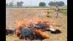 The total number of farm fires in Punjab so far this year has reached 3,696, which is still lower than 5,438 cases in the same period last year. (AFP) The total number of farm fires in Punjab so far this year has reached 3,696, which is still lower than 5,438 cases in the same period last year. (AFP)