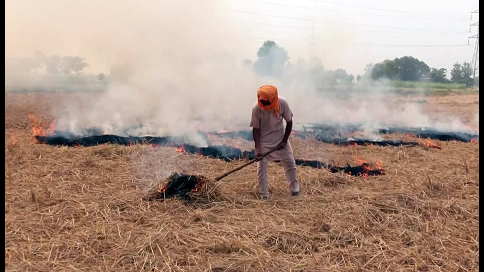 Farm fires in Punjab’s south Malwa less than half from last year