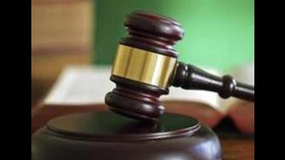 Punjab and Haryana high court (HC) has granted bail to two of the accused in the case pertaining to illegal felling of khair trees in Mohali’s periphery. (Getty Images/iStockphoto)
