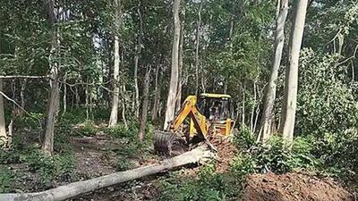 Over 6,000 trees were felled for the proposed Pakhro Tiger Safari project in Corbett Tiger Reserve over an area of 16.21 hectares, according to a report of the Forest Survey of India (FSI). (HT File Photo) Over 6,000 trees were felled for the proposed Pakhro Tiger Safari project in Corbett Tiger Reserve over an area of 16.21 hectares, according to a report of the Forest Survey of India (FSI). (HT File Photo)